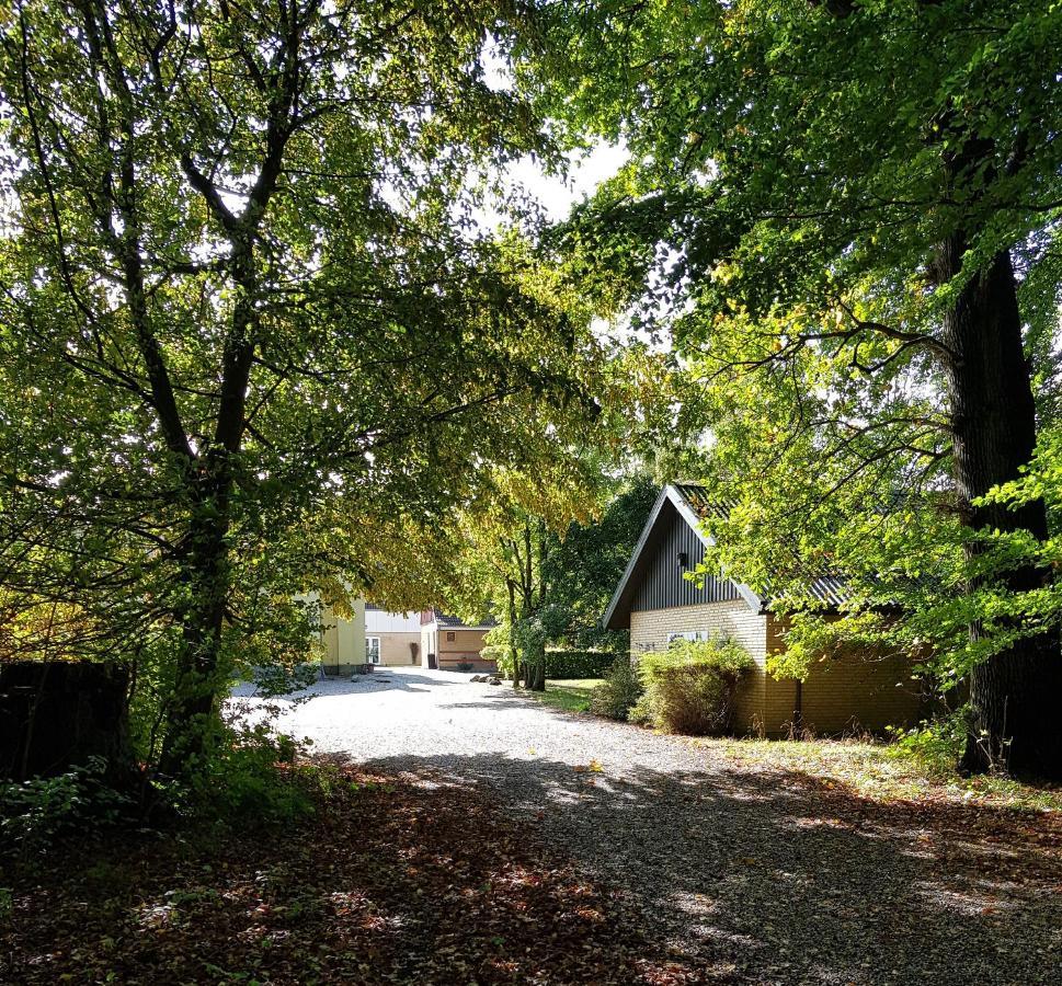 Pederstrup Bed&Breakfast Torrig Exterior foto