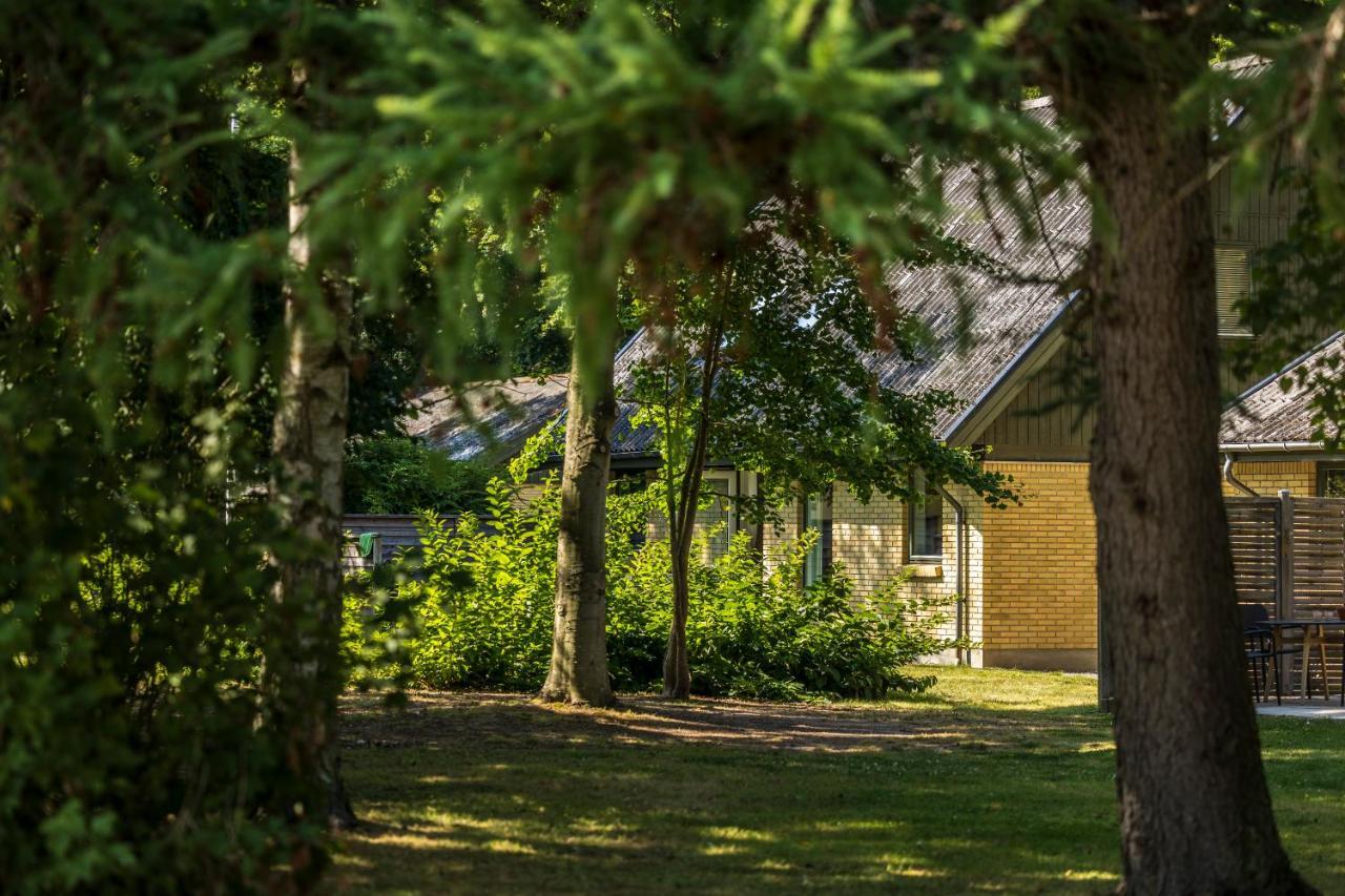 Pederstrup Bed&Breakfast Torrig Exterior foto